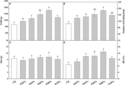 Enhanced Enzymatic Hydrolysis of Cellulose From Substrate and Indole-3-Acetic Acid Content—During the Fruiting Body Differentiation Stage by Sodium Acetate Addition